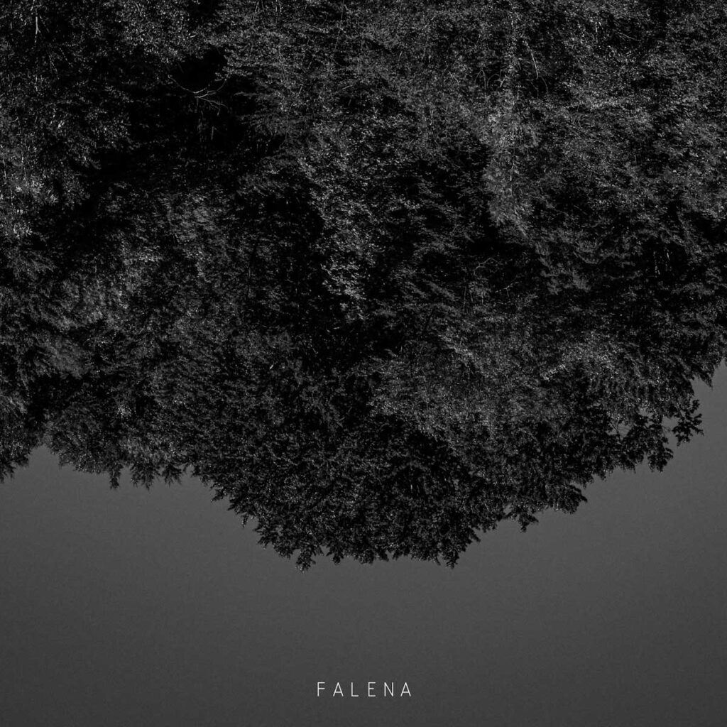 Falena