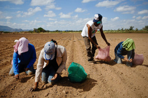 Campesinos Messico EZLN Marcos